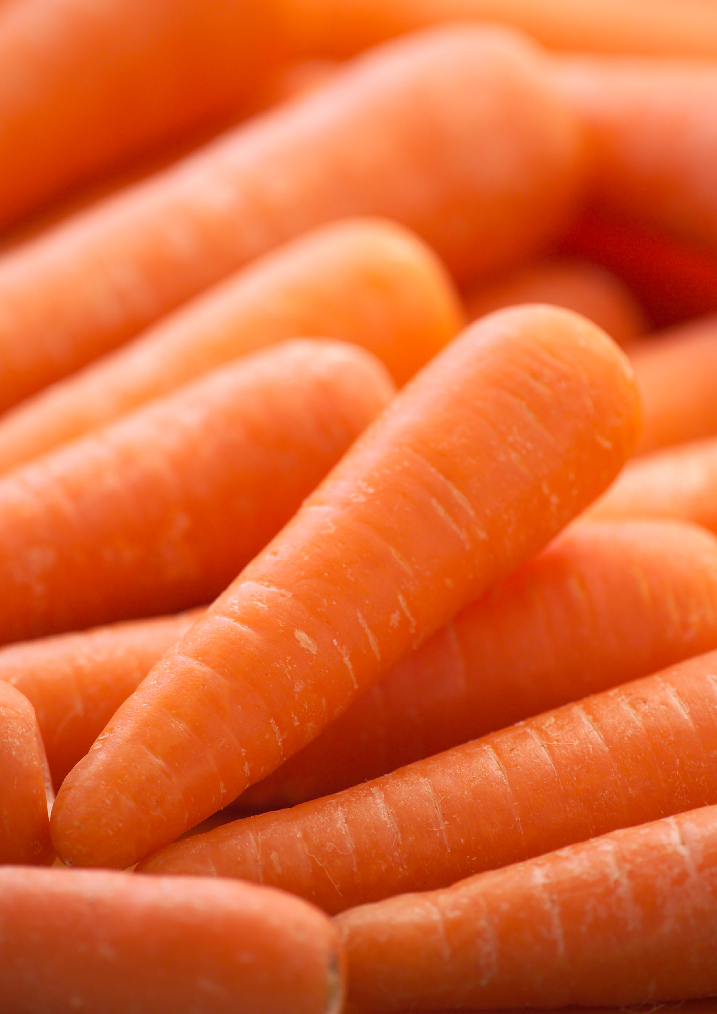 Maha Agri - Carrots Product
