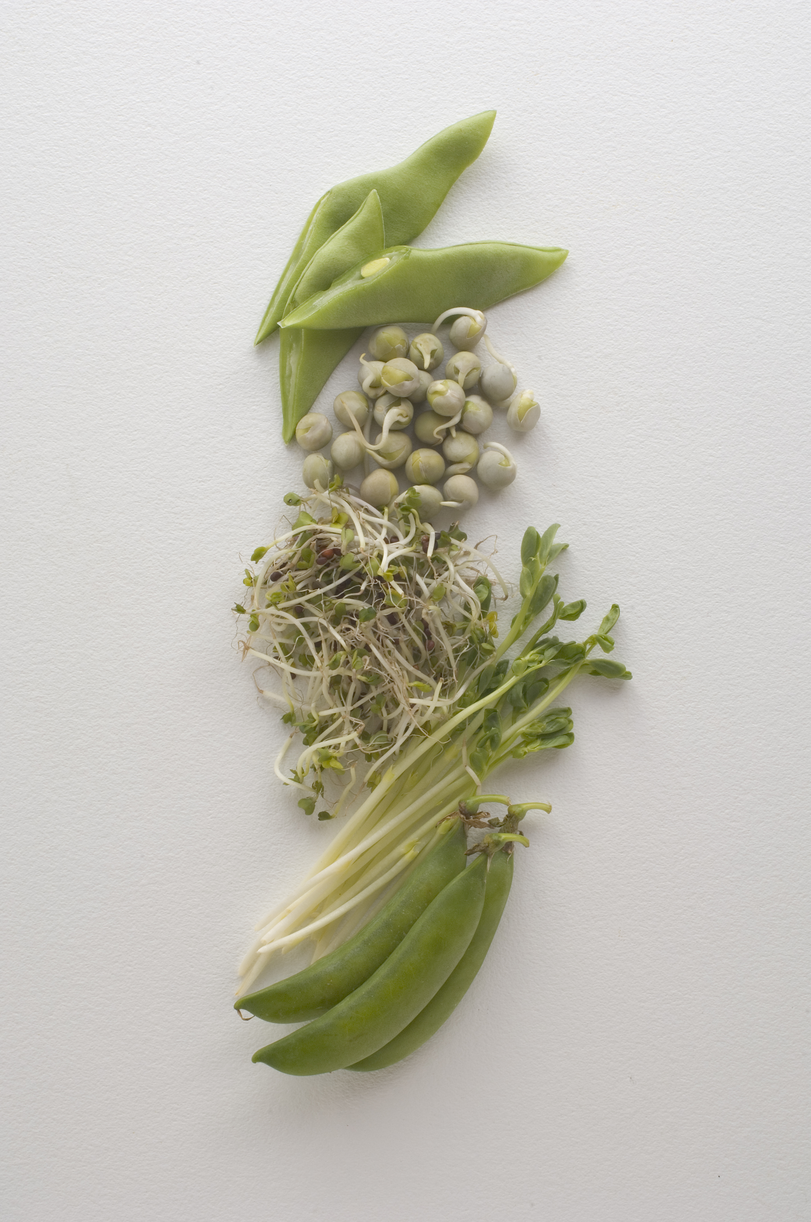 Maha Agri - peas Product