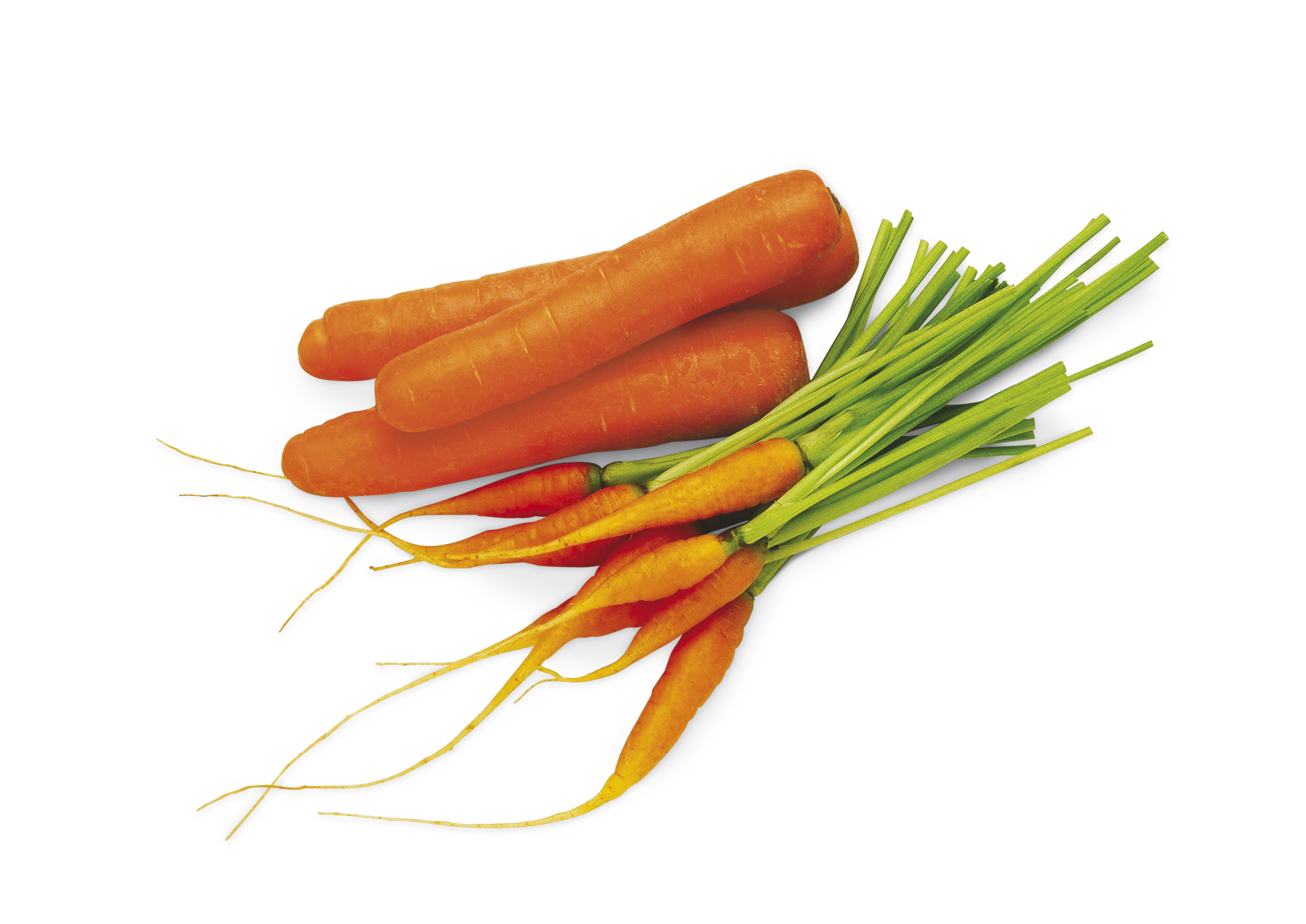 Maha Agri - Carrots Product